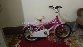 cycle pink