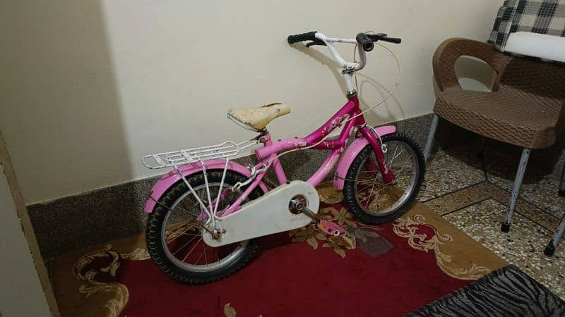 cycle pink 1