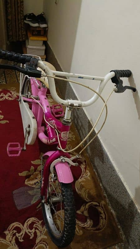 cycle pink 4