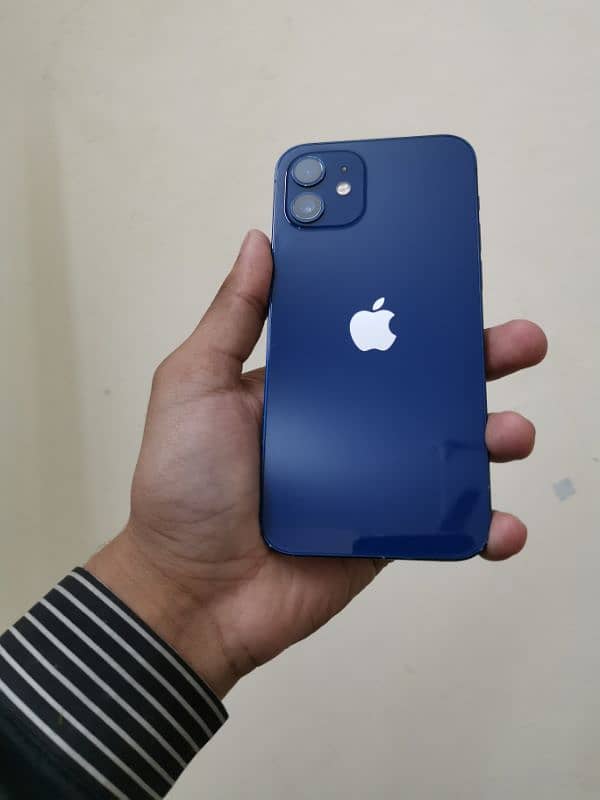 IPhone 12 1