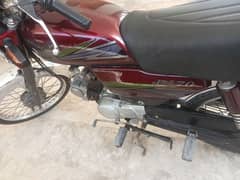 3086503011 Rohi bike 10 by 10 Lush condition File complete hai all ok