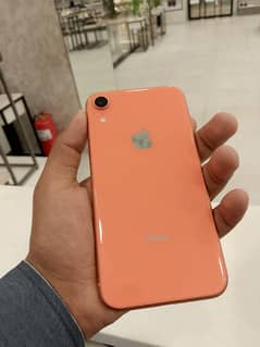 iphone xr non pta{JV}but sim glitched 64gb 81helth all ok no any falt