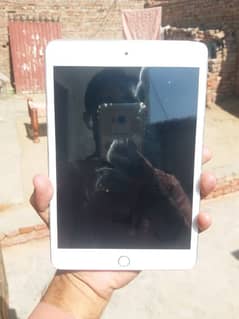 ipad mini 5 PUBG king