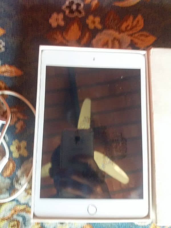 ipad mini 5 PUBG king 6