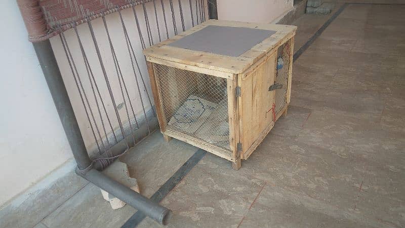 bilkul new hai wooden cage jis cat ka liye liya tha uski death hogai 0