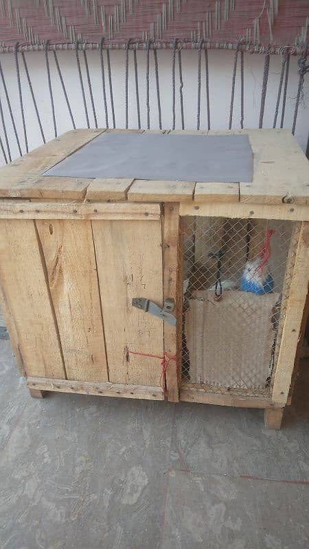 bilkul new hai wooden cage jis cat ka liye liya tha uski death hogai 2