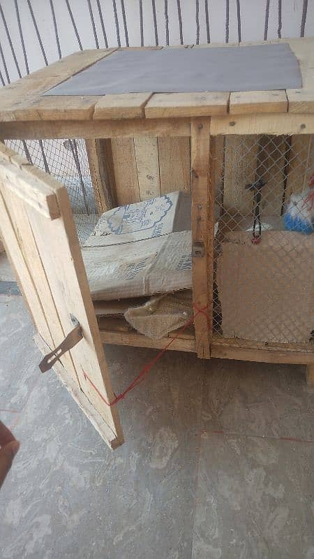 bilkul new hai wooden cage jis cat ka liye liya tha uski death hogai 3