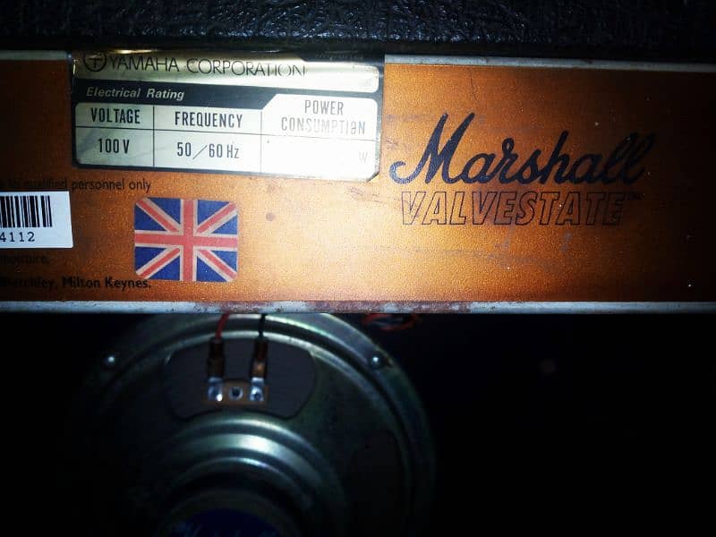 marshal brand speaker 2