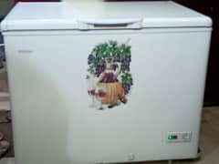 Haier single door deep freezer