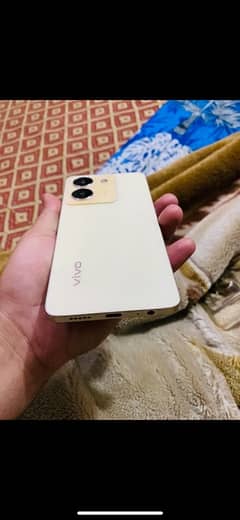 vivo