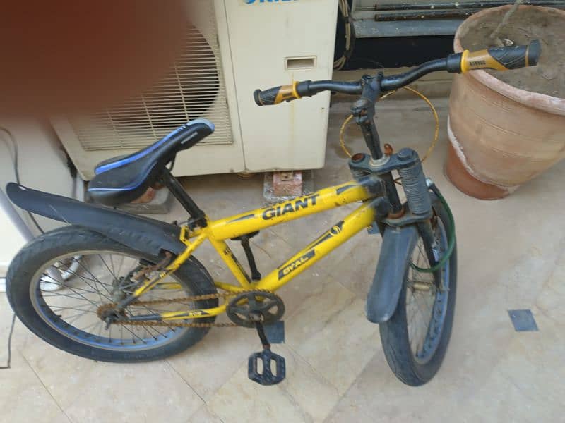 Giant bicycle for sale 0