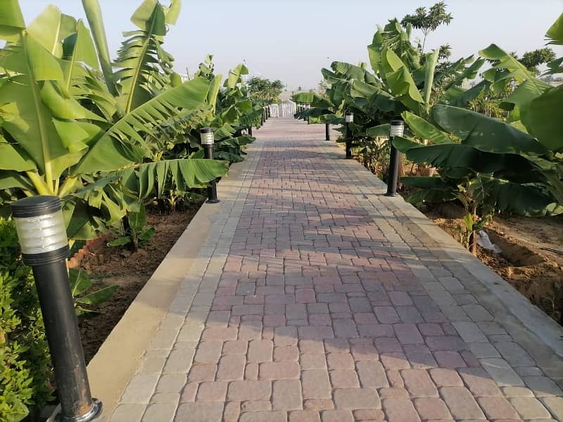 200 Square Yards Residential Plot In Al-Jadeed Residency Is Best Option 9