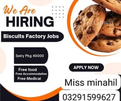 biscuit factory job available