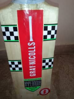 Hard ball cricket bat