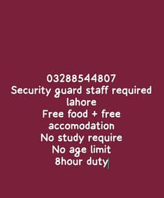 job security guard required male female morning + night shift job