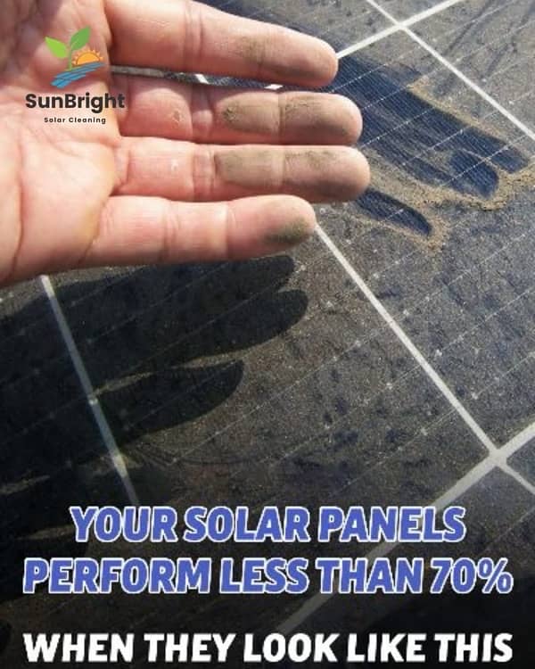 Professional Solar Panel Cleaning 1