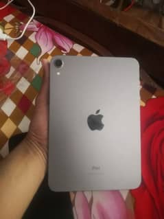 ipad mini 6