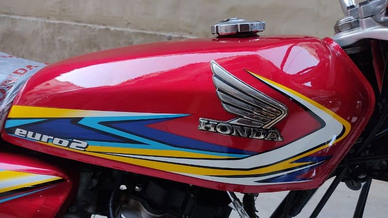 CG honda 125 larkana 2019 mint condition 13