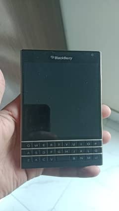 blackberry