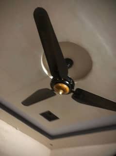 Total 5 Ceiling Fans