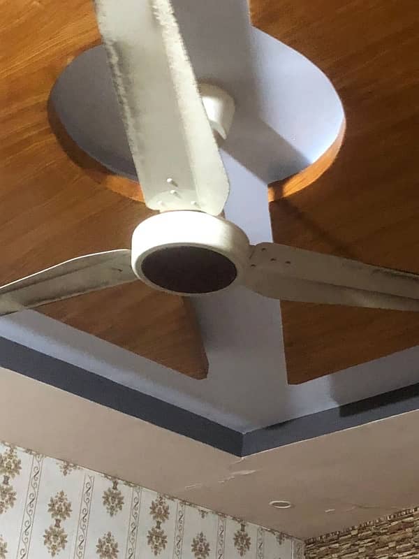 Total 5 Ceiling Fans 1