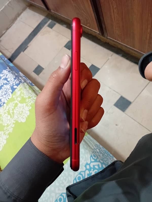 iPhone XR Non Pta 2