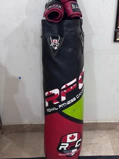 Punching bag with boxing gloves