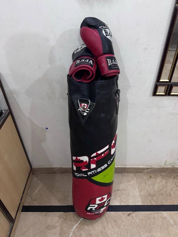 Punching bag with boxing gloves 1