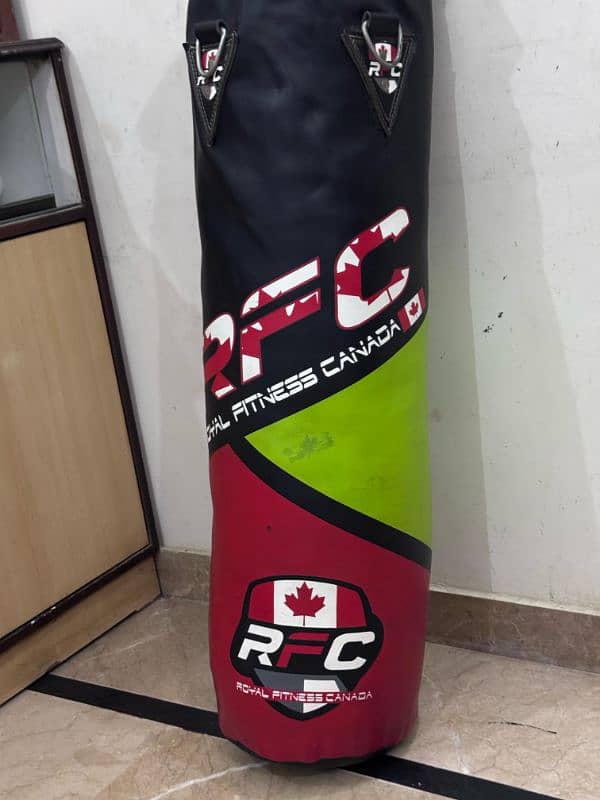 Punching bag with boxing gloves 3