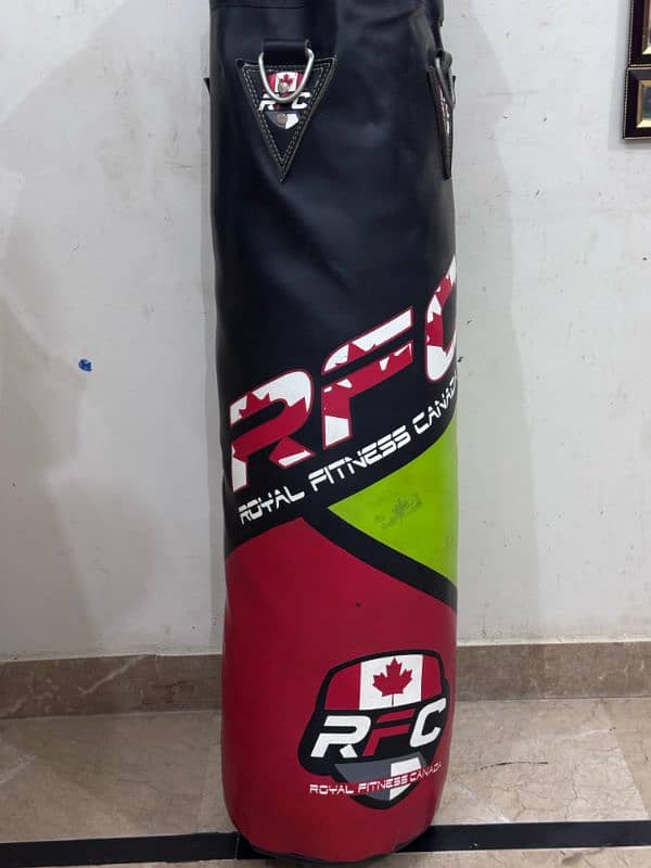 Punching bag with boxing gloves 6