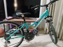 SCHWINN Mountain Bike