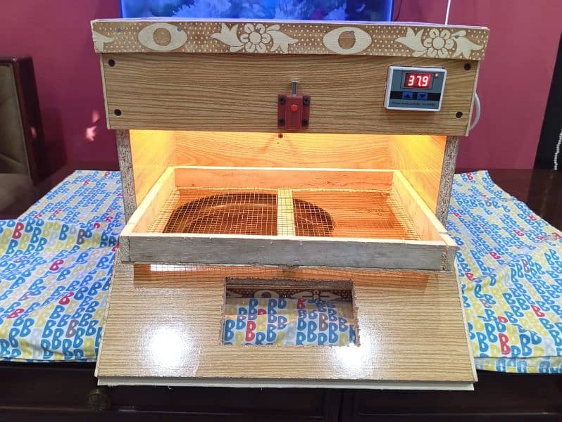 Eggs Incubator Available | Hatching Machine | 40 Eggs Incubator 5