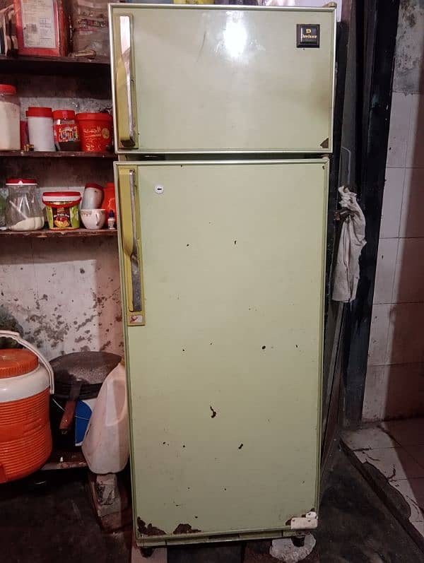 fridge for sala 1