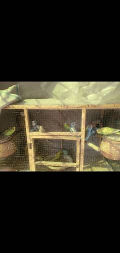 Parrots Cage( with houses)