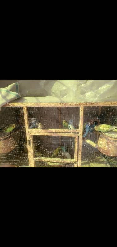 Parrots Cage( with houses) 0