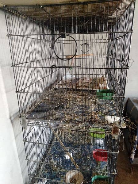 Folding Cage For Sale 03022467273 1