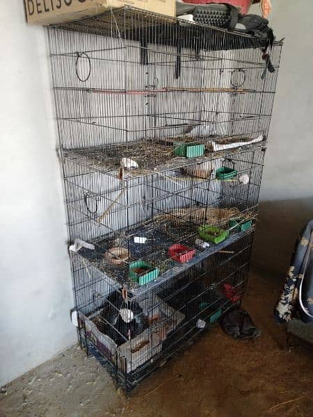 Folding Cage For Sale 03022467273 2