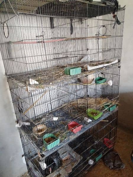 Folding Cage For Sale 03022467273 4