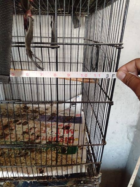 Folding Cage For Sale 03022467273 7