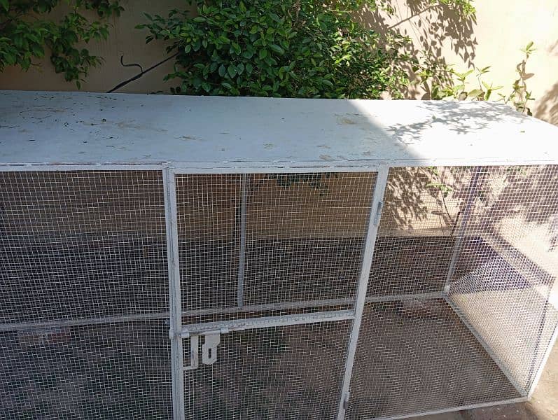 HENS/ PARROT CAGE 2