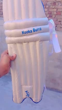 cricket half kit