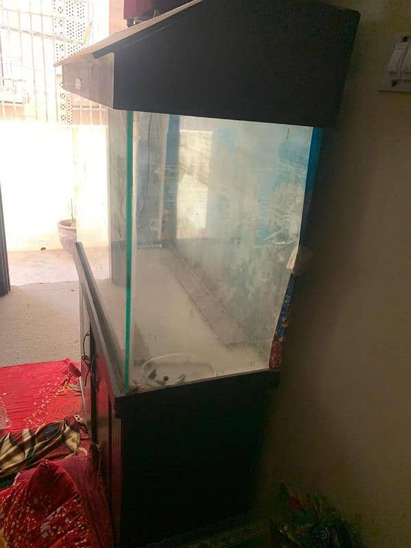 aquarium for sale 1