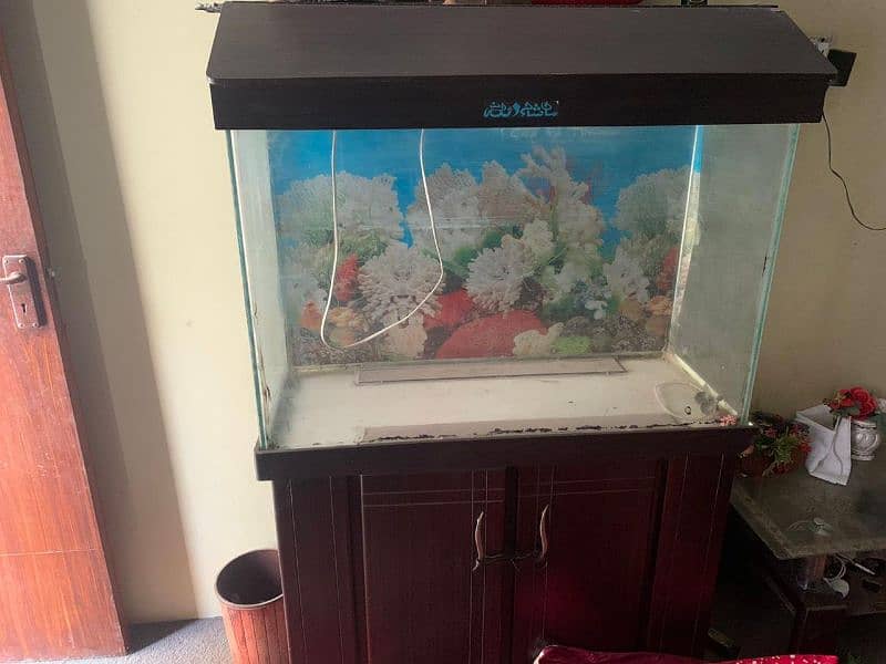 aquarium for sale 3