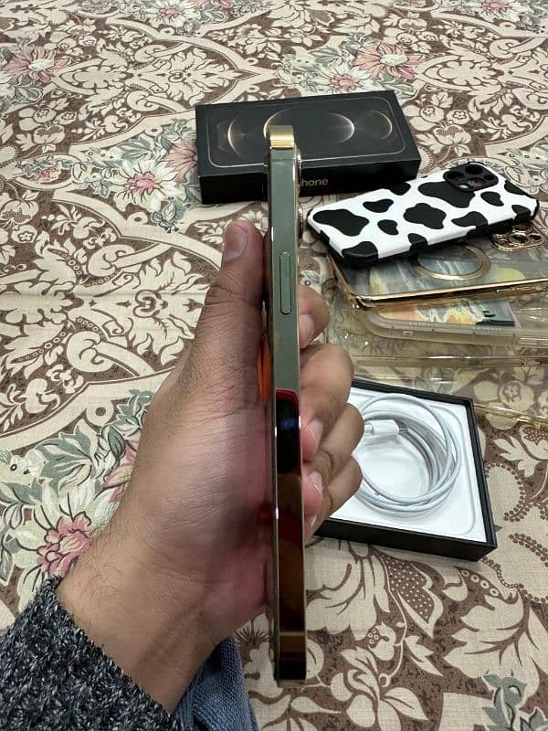 iphone 12 pro max 256gb pta physical dual 0