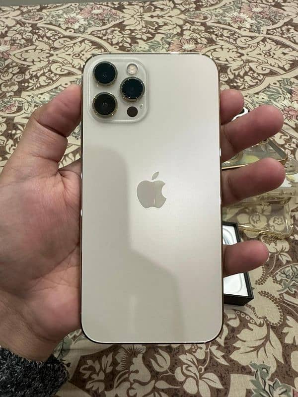 iphone 12 pro max 256gb pta physical dual 1