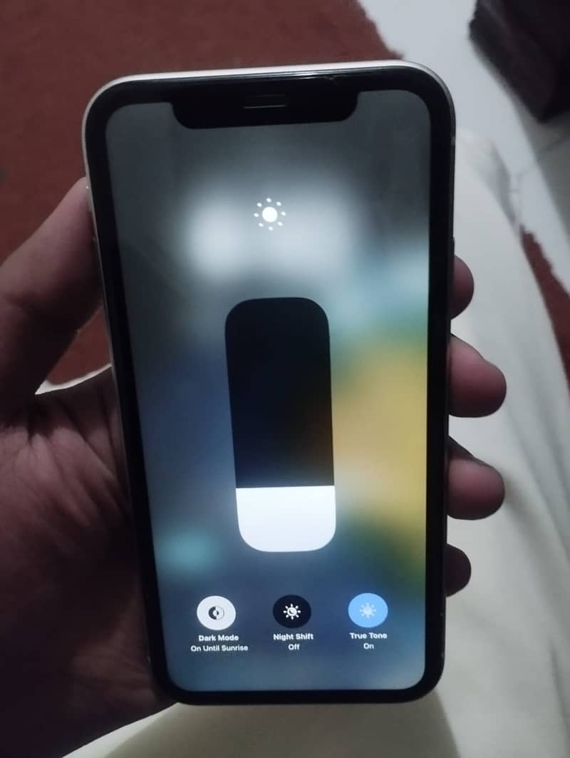 Apple iPhone 11 2