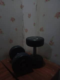 two 5 kg dumbbells