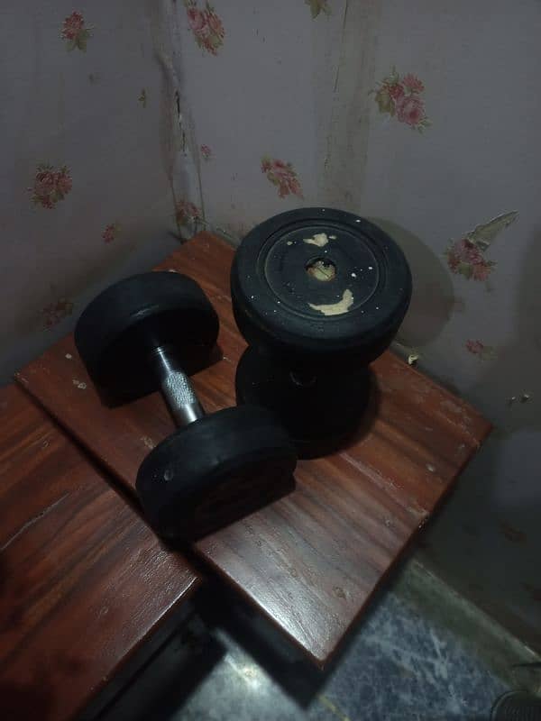 two 5 kg dumbbells 1