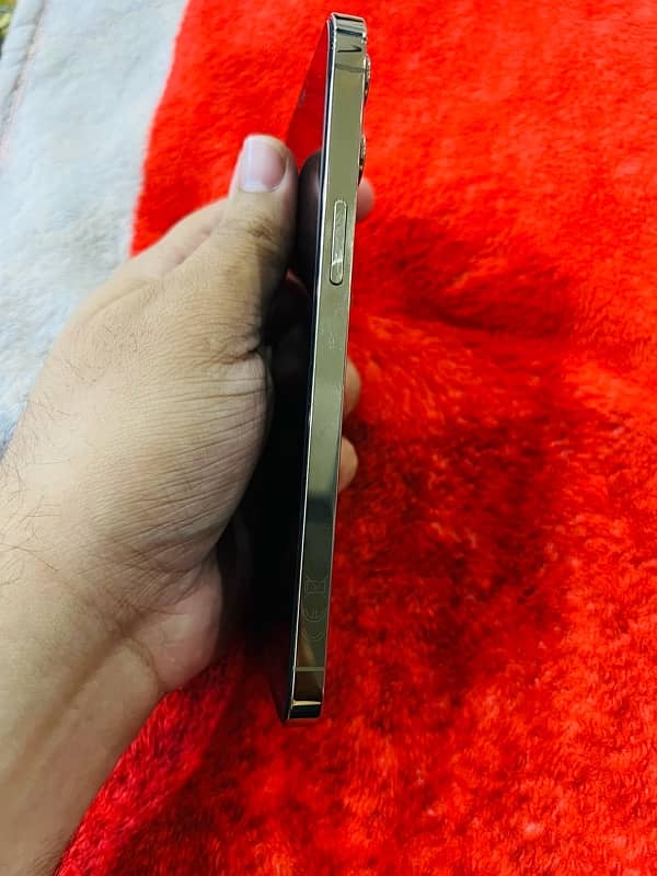 iphone 12 pro max pta approved 5