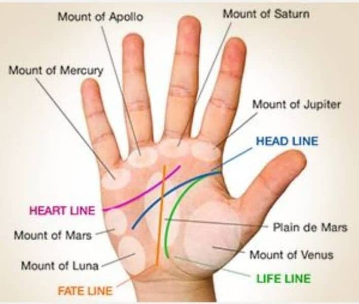 palmistry astrology 1